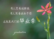 雷火电竞主播-钢铁长城神兵天降，金玟哉铸就唯一神话，几内亚惊天翻盘震惊足坛