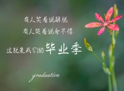 雷火电竞主播-钢铁长城神兵天降，金玟哉铸就唯一神话，几内亚惊天翻盘震惊足坛