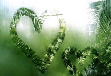 开云-当绿茵闪电撞上绿衫铁壁！姆巴佩奥运单挑凯尔特人，数据揭秘世纪交锋