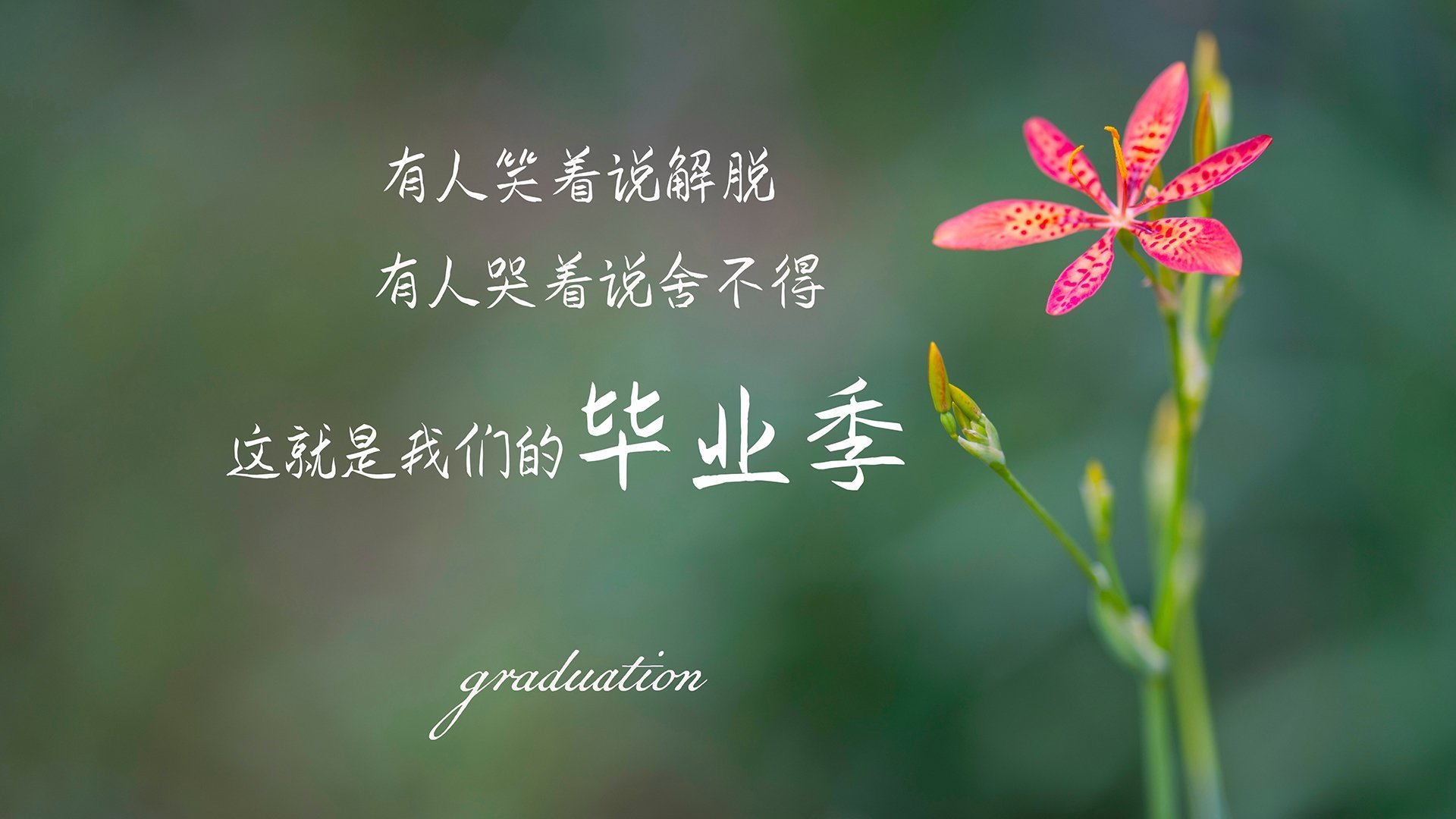 钢铁长城神兵天降,金玟哉铸就唯一神话,几内亚惊天翻盘震惊足坛