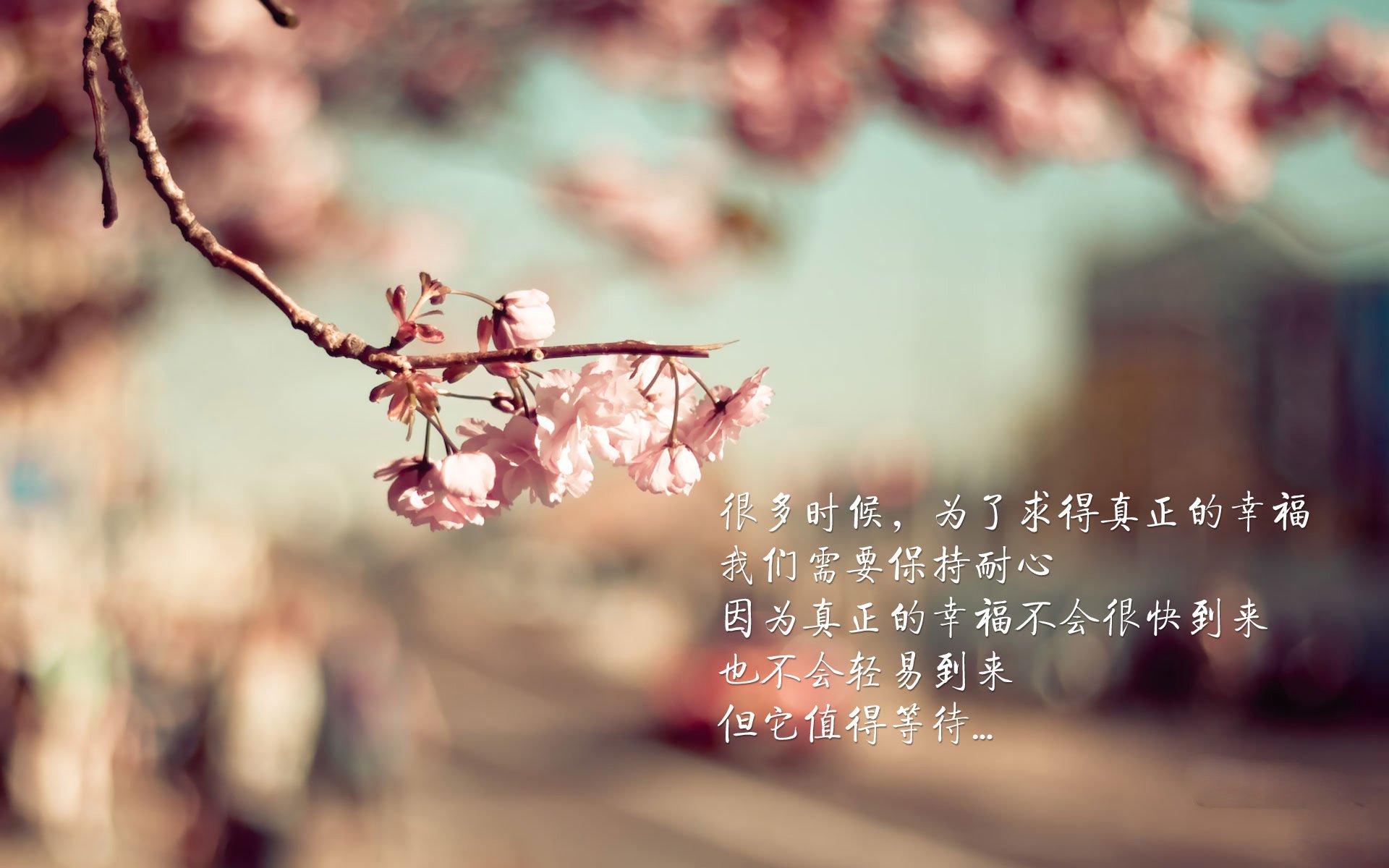 重演的命运,2026,哥斯达黎加的复仇,拉什福德的绝杀时刻